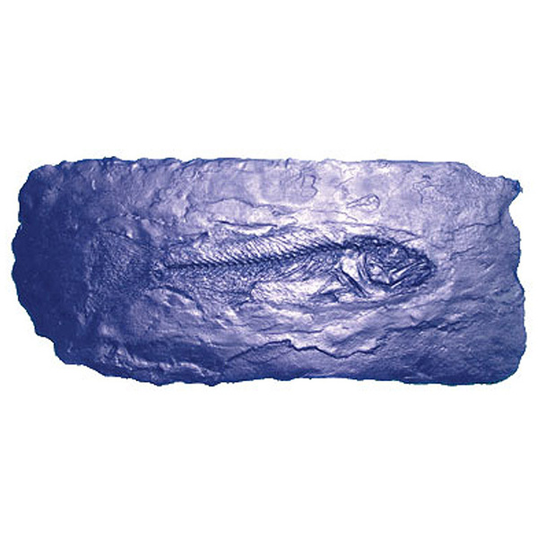 Bonway Bon 32-682 Fossil Stamp-Fish 32-682